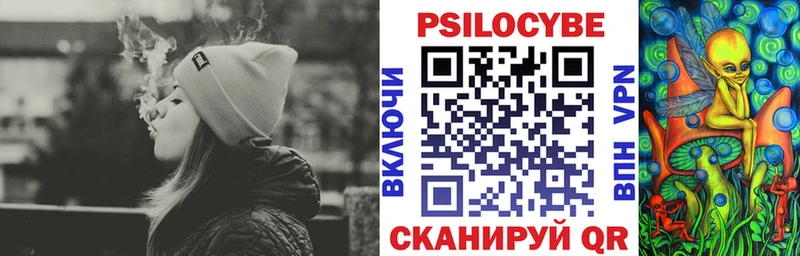 Псилоцибиновые грибы Cubensis  Ковров 