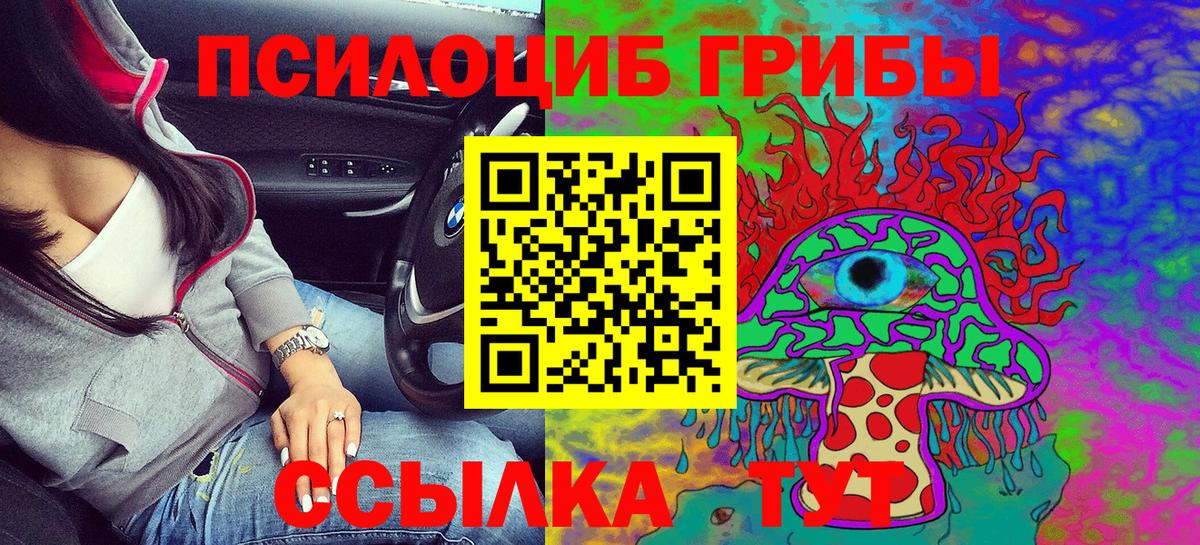где найти наркотики  Галлюциногенные грибы Magic Shrooms  Ковров  Вход с VPN  Псилоцибиновые грибы Cubensis 
